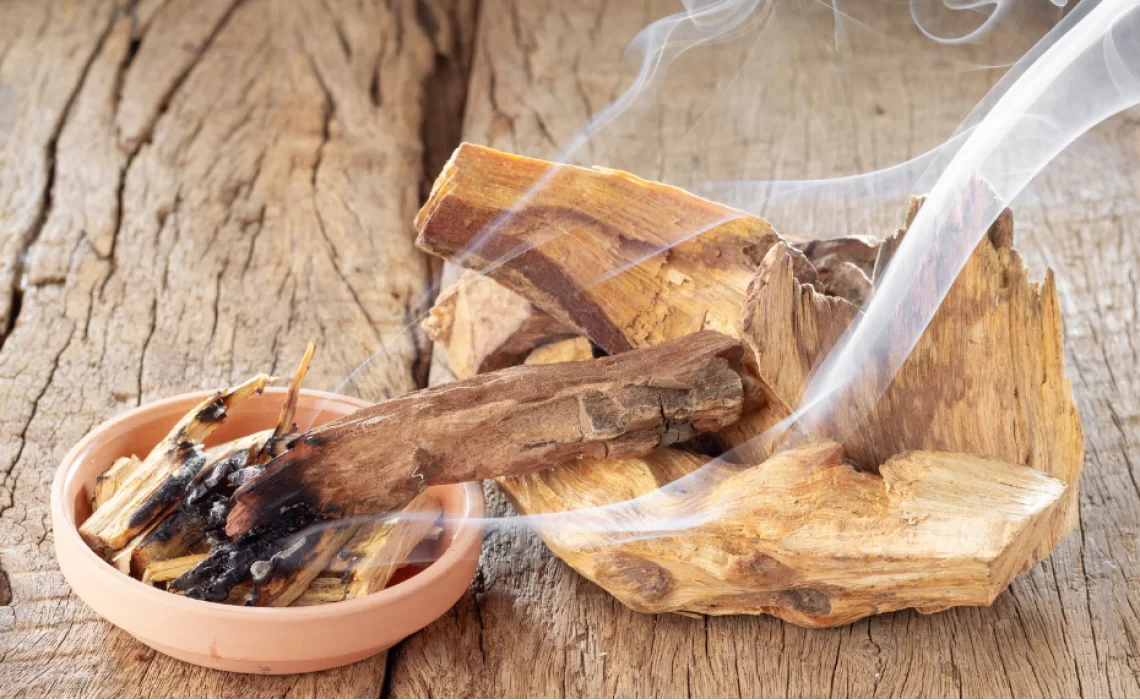 Palo Santo: beneficii, utilizare și istorie