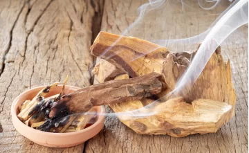 Palo Santo: beneficii, utilizare și istorie