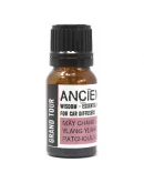 Amestec de Uleiuri Esențiale pentru Mașină - Grand Tour, 10ml