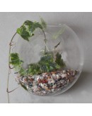 Terariu suspendat din sticlă - ghiveci de flori