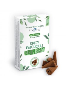 Conuri Backflow din plante - Patchuli picant