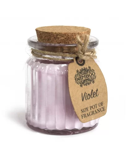Lumânare Parfumată din Soia Violet